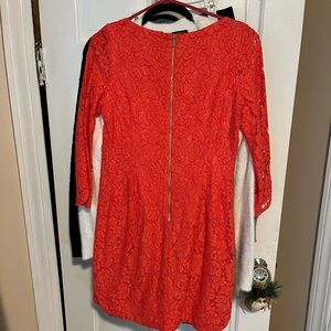 Women’s Vince Camuto Orange Lace Dress knee length quarter sleeve size 6